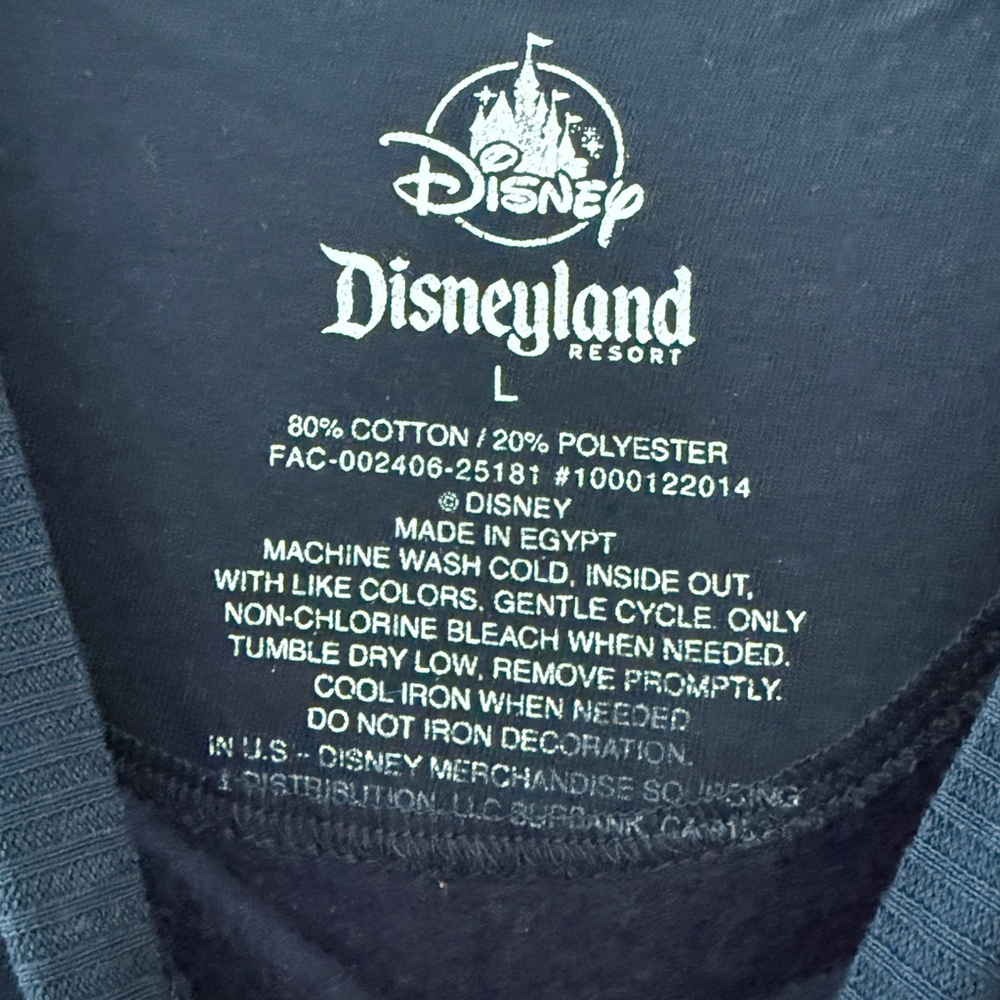 Disneyland crewneck from this season - Picture 3 of 3
